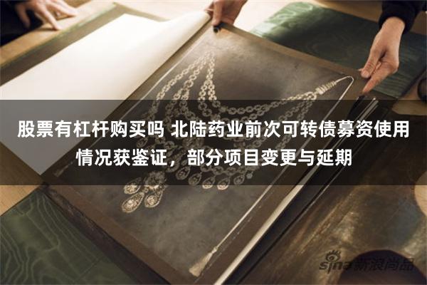 股票有杠杆购买吗 北陆药业前次可转债募资使用情况获鉴证，部分项目变更与延期