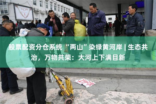 股票配资分仓系统 “两山”染绿黄河岸 | 生态共治，万物共荣：大河上下满目新